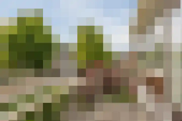 Reigerslaan 32 Voorhout thumbnail 21