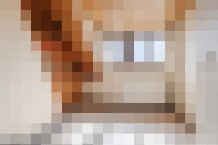 Reigerslaan 32 Voorhout thumbnail 28