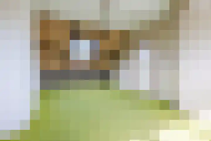 Reigerslaan 32 Voorhout thumbnail 31