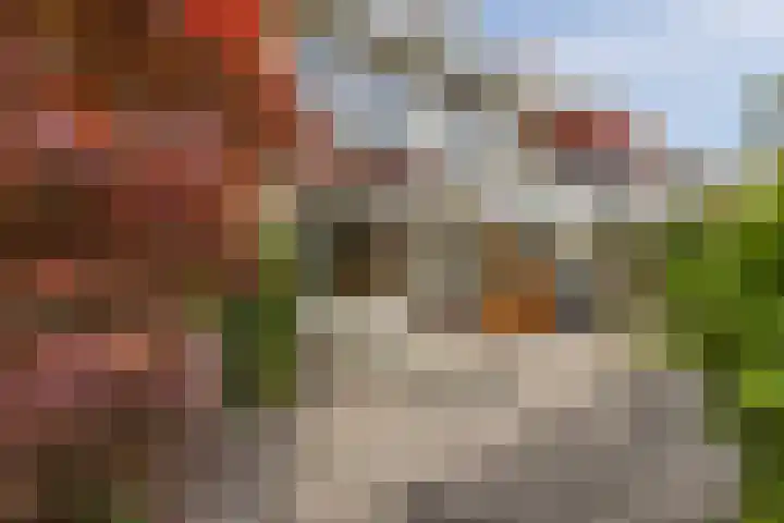 Reigerslaan 32 Voorhout thumbnail 36