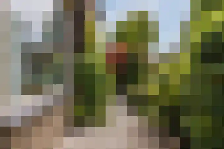 Reigerslaan 32 Voorhout thumbnail 38