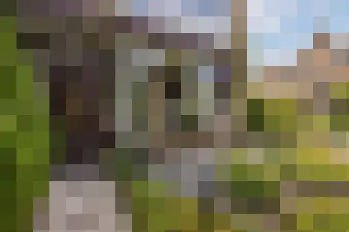 Reigerslaan 32 Voorhout thumbnail 4