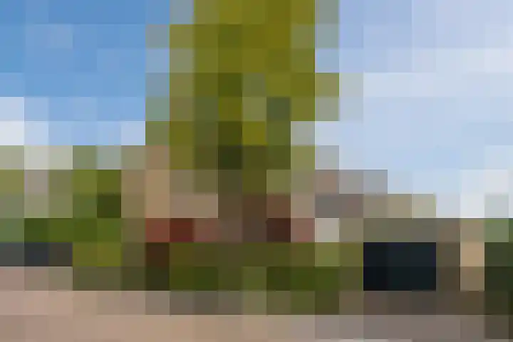 Reigerslaan 32 Voorhout thumbnail 42