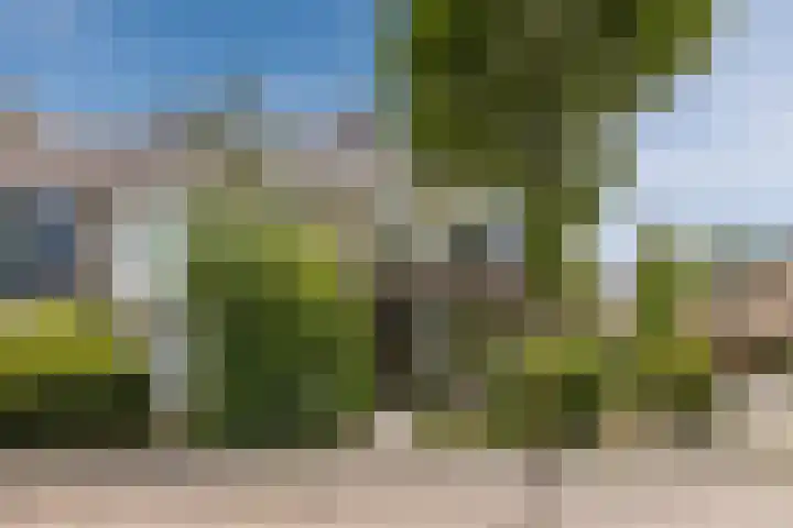 Reigerslaan 32 Voorhout thumbnail 44