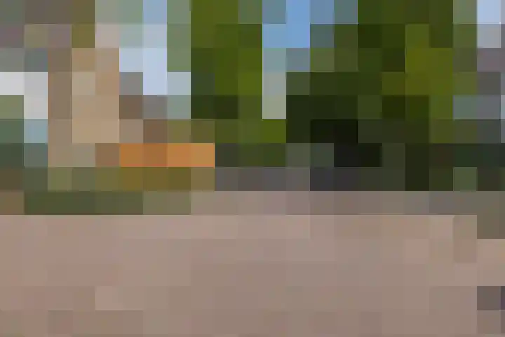 Reigerslaan 32 Voorhout thumbnail 45