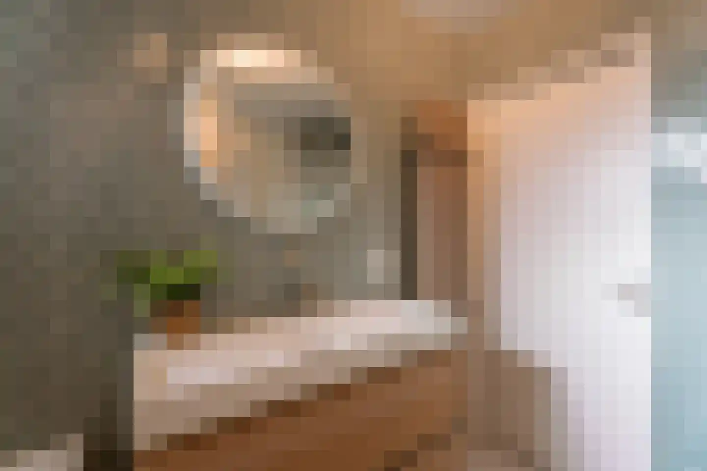 Reigerslaan 5 Voorhout thumbnail 23