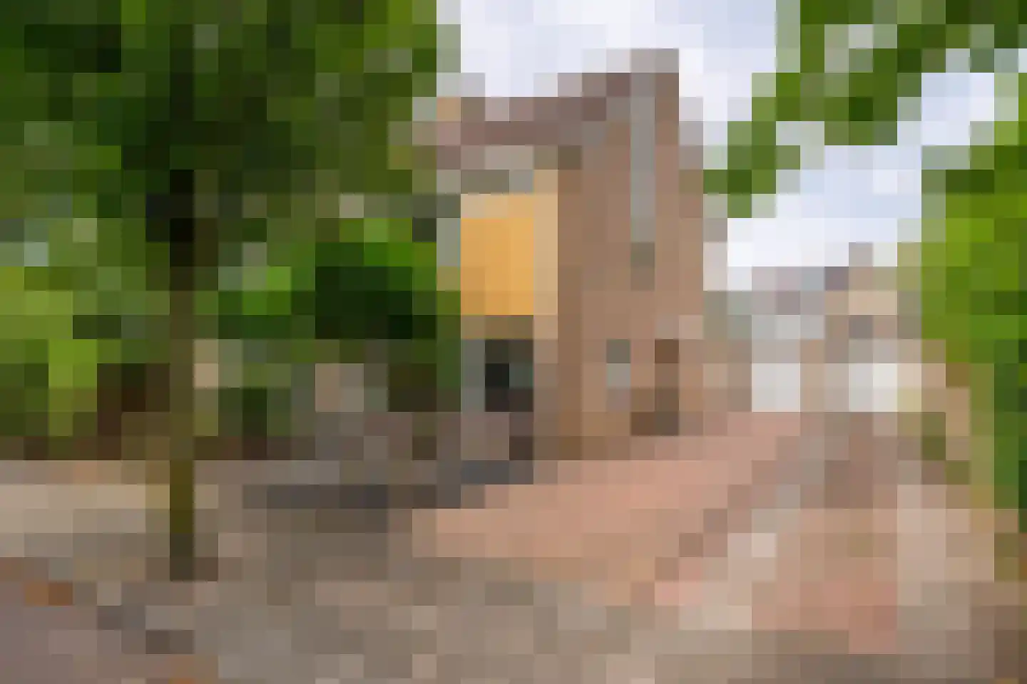 Reigerslaan 5 Voorhout thumbnail 39