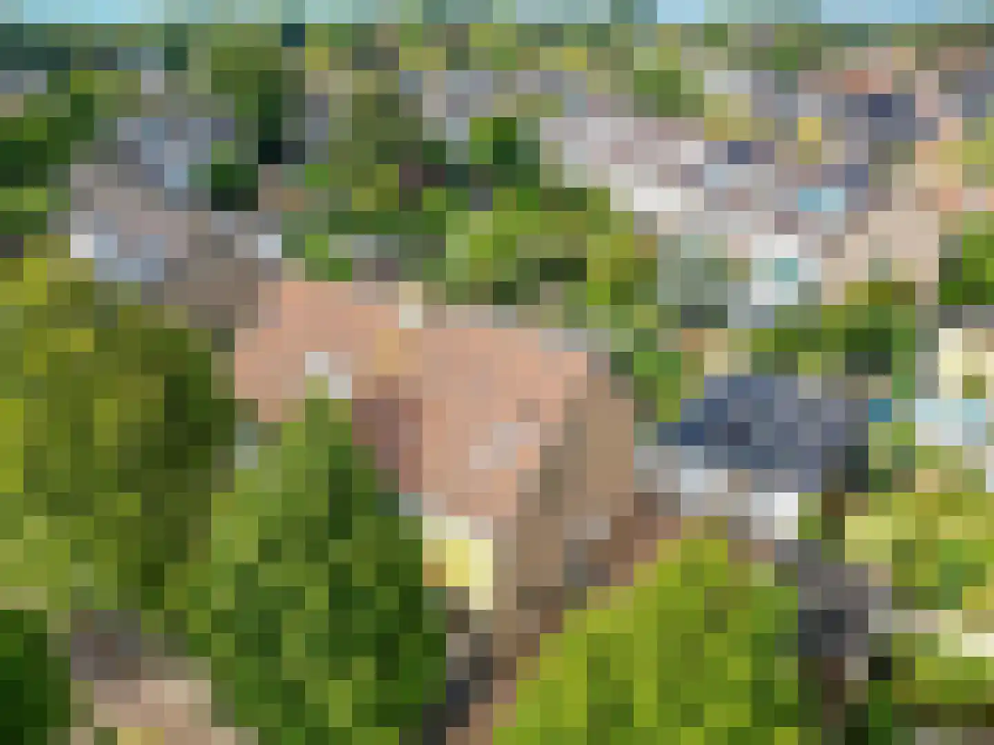 Reigerslaan 5 Voorhout thumbnail 42