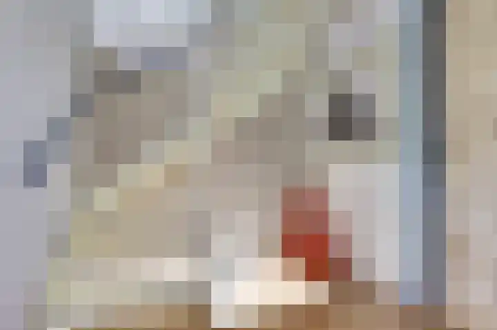 Reigerspad 3 Hank thumbnail 17