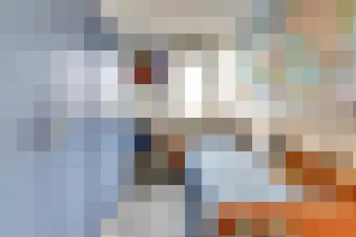 Reigerspad 3 Hank thumbnail 20