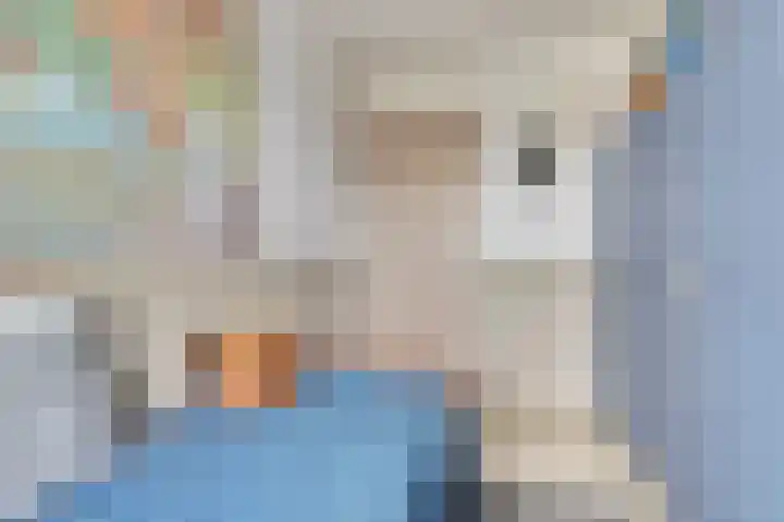 Reigerspad 3 Hank thumbnail 21