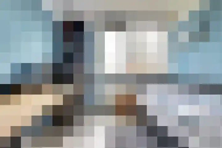 Reigerspad 3 Hank thumbnail 22