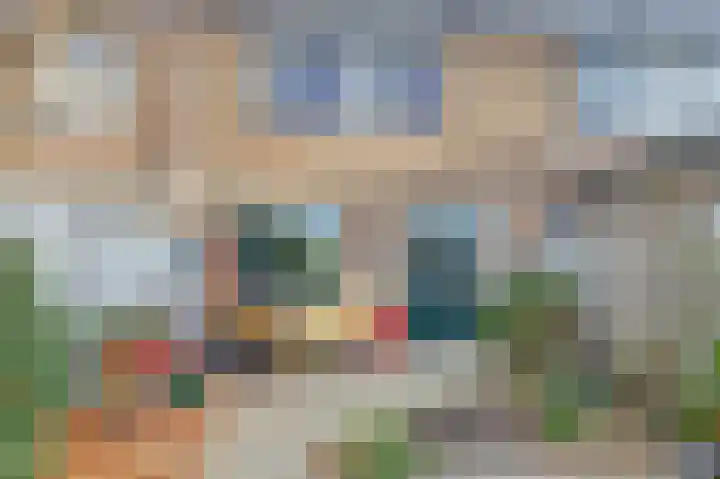 Reigerspad 3 Hank thumbnail 33