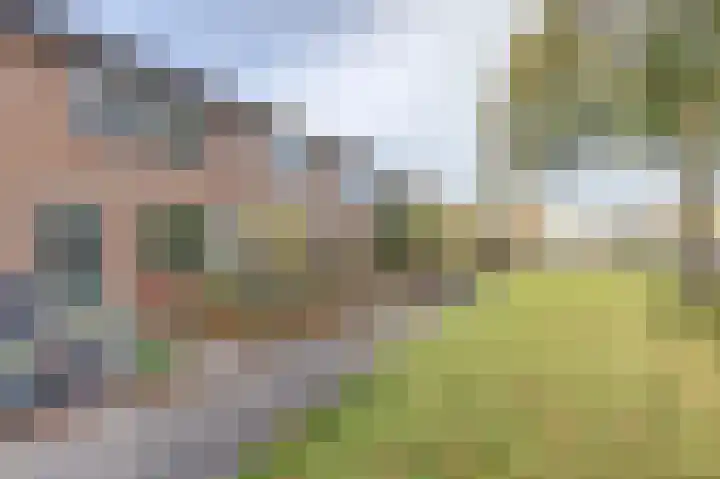 Reigerspad 3 Hank thumbnail 37