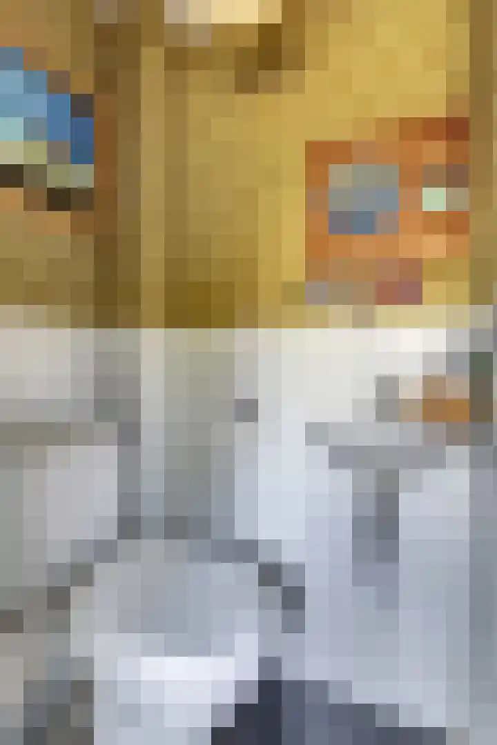 Reigerspad 3 Hank thumbnail 4