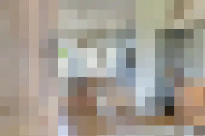 Reigerspad 3 Hank thumbnail 5