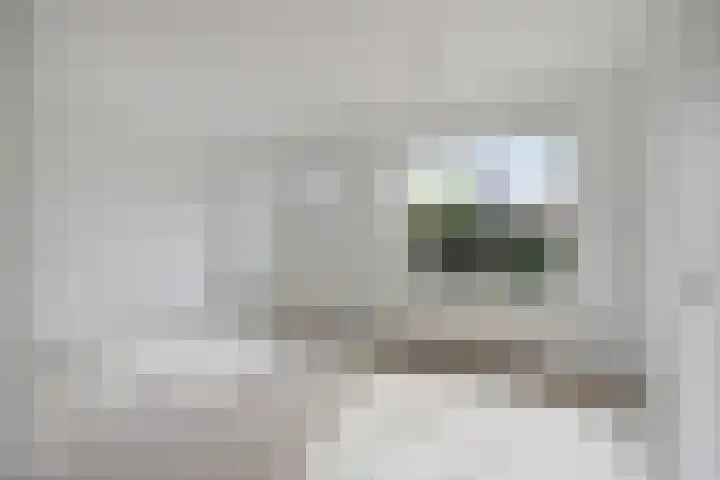 Reigerspad 5 Hank thumbnail 11