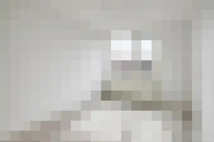 Reigerspad 5 Hank thumbnail 14