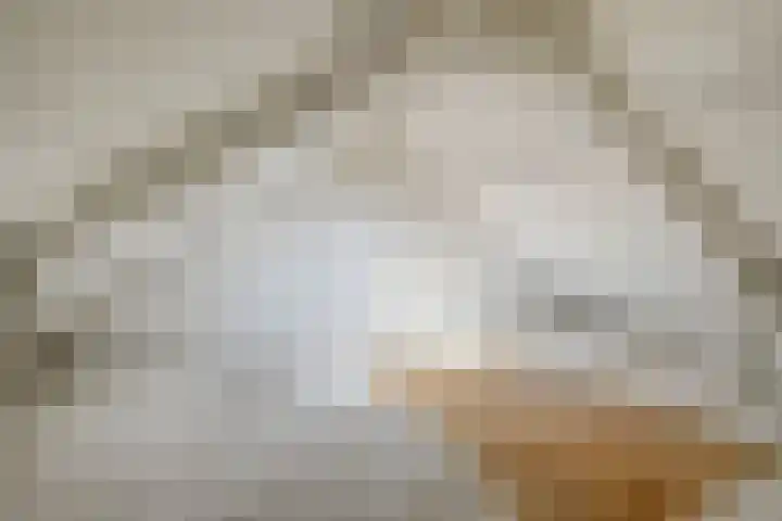 Reigerspad 5 Hank thumbnail 20