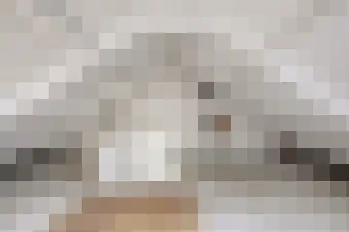 Reigerspad 5 Hank thumbnail 21