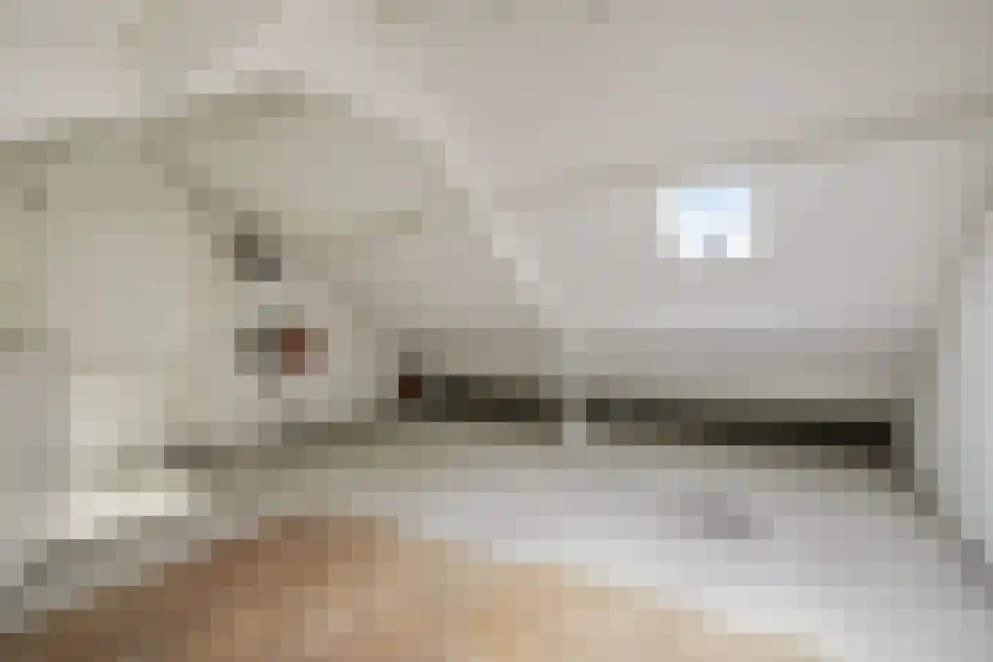 Reigerspad 5 Hank thumbnail 22