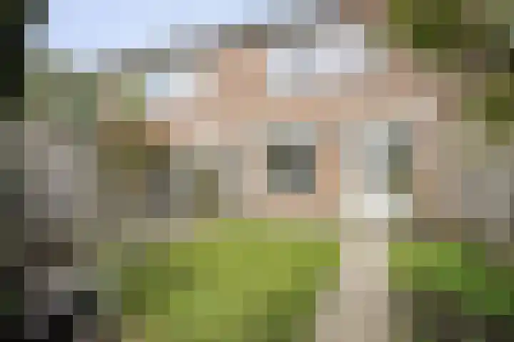 Reigerspad 5 Hank thumbnail 24