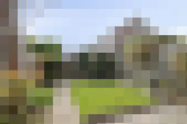 Reigerspad 5 Hank thumbnail 25