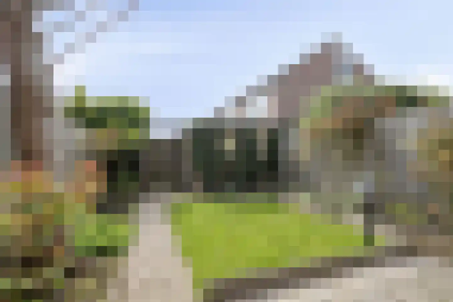 Reigerspad 5 Hank thumbnail 25