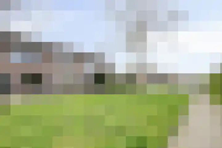 Reigerspad 5 Hank thumbnail 26