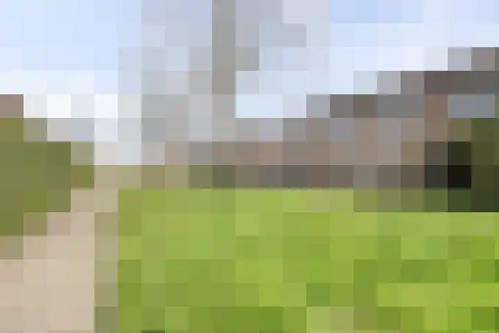 Reigerspad 5 Hank thumbnail 27