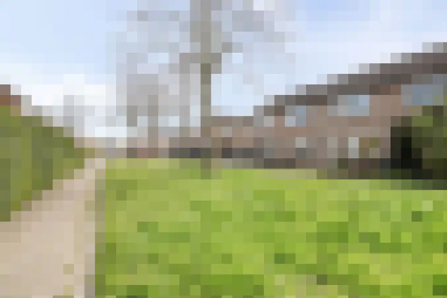 Reigerspad 5 Hank thumbnail 27