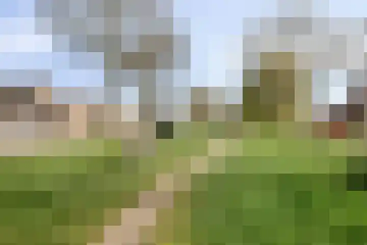 Reigerspad 5 Hank thumbnail 28