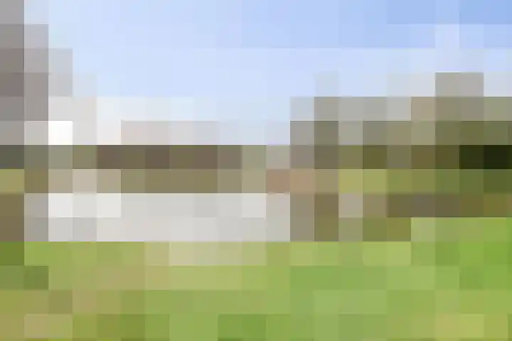 Reigerspad 5 Hank thumbnail 29