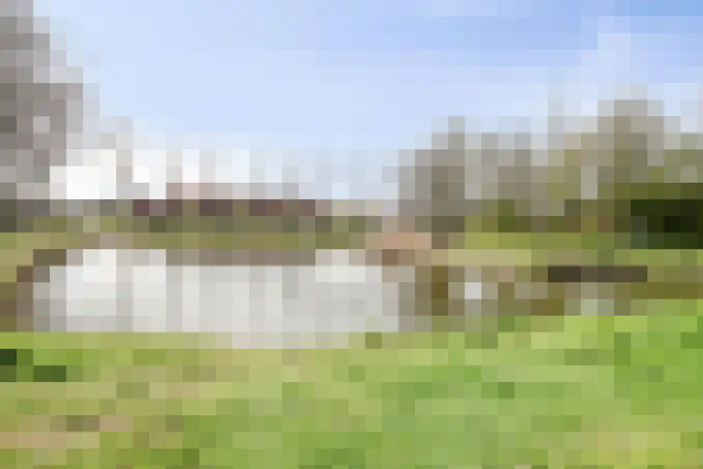 Reigerspad 5 Hank thumbnail 29