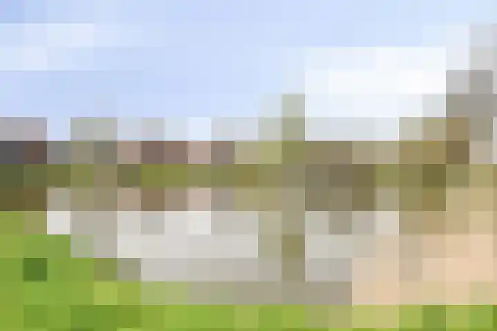 Reigerspad 5 Hank thumbnail 31