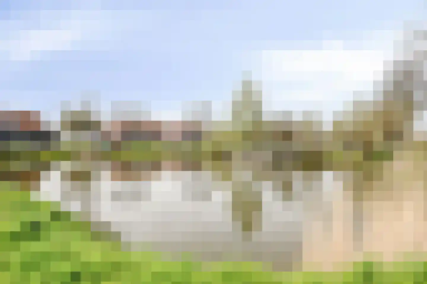 Reigerspad 5 Hank thumbnail 31