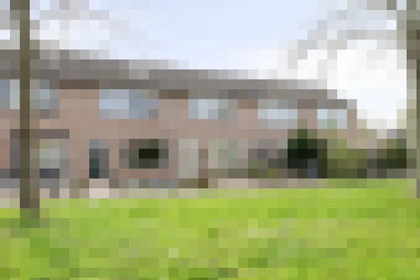Reigerspad 5 Hank thumbnail 4