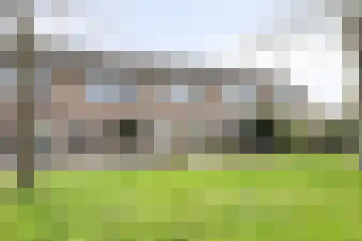 Reigerspad 5 Hank thumbnail 4