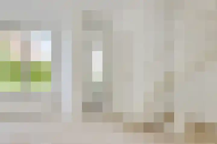 Reigerspad 5 Hank thumbnail 7
