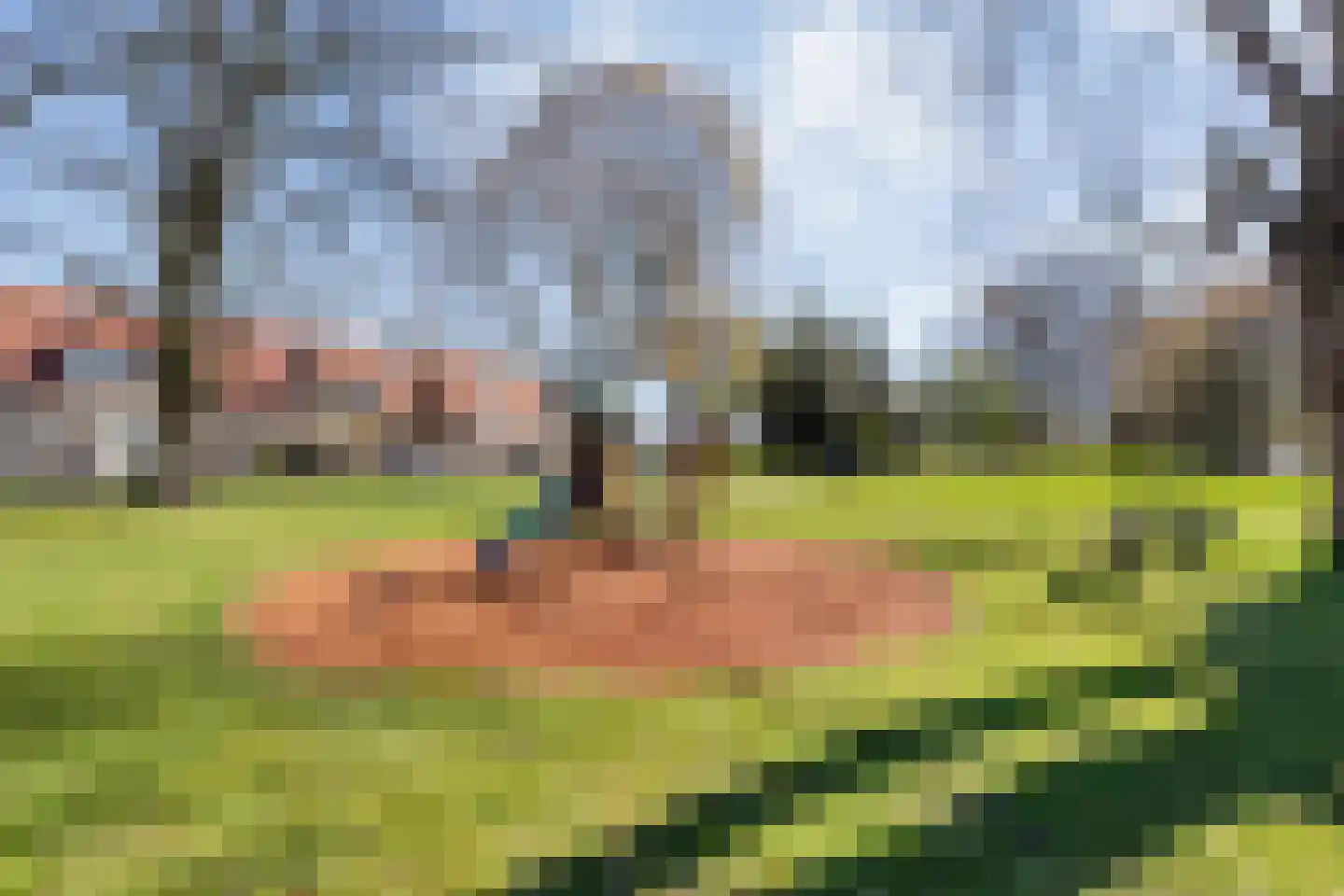 Reigersstraat 67 Almelo thumbnail 29