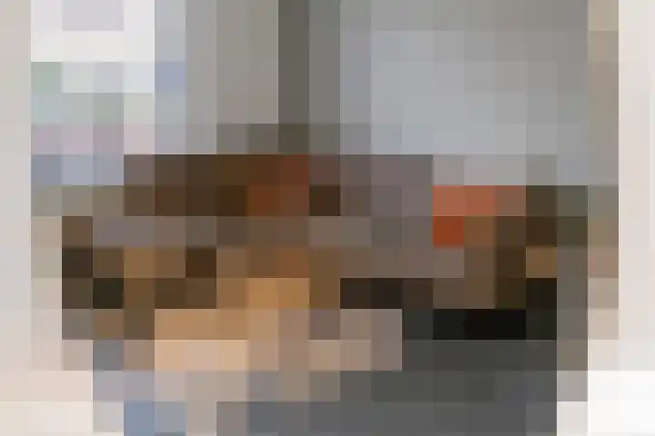 Reigerstraat 1 Beneden-Leeuwen thumbnail 11