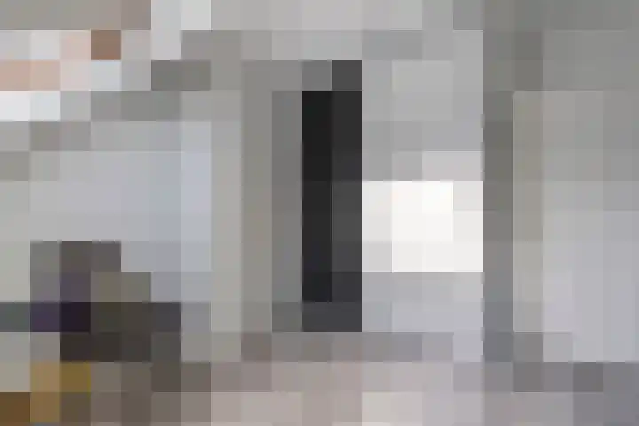 Reigerstraat 1 Beneden-Leeuwen thumbnail 21