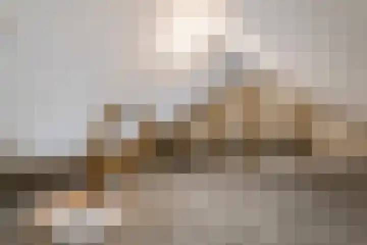 Reigerstraat 1 Beneden-Leeuwen thumbnail 26