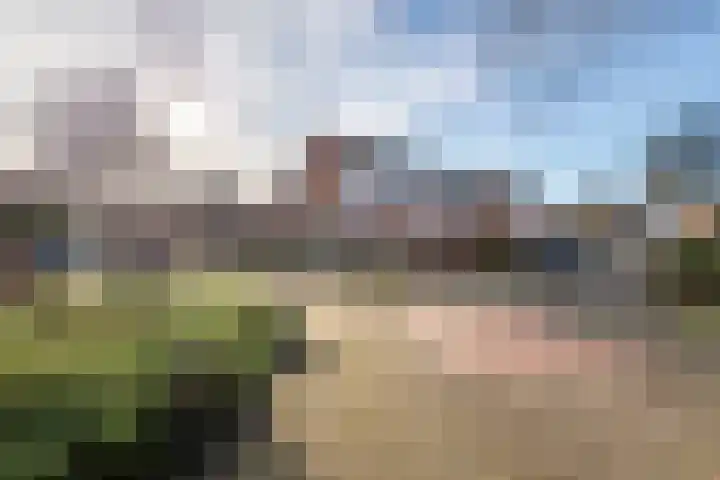 Reigerstraat 1 Beneden-Leeuwen thumbnail 32