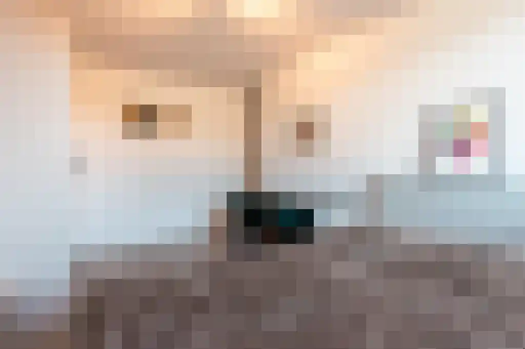 Reigerstraat 1 Ermelo thumbnail 22