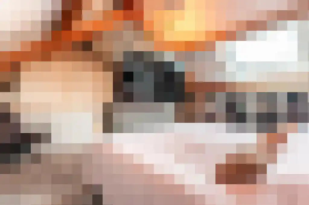 Reigerstraat 1 Ermelo thumbnail 29