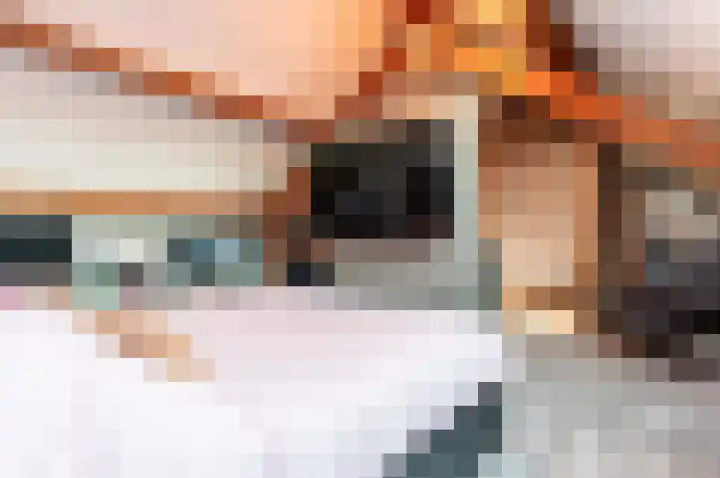 Reigerstraat 1 Ermelo thumbnail 30