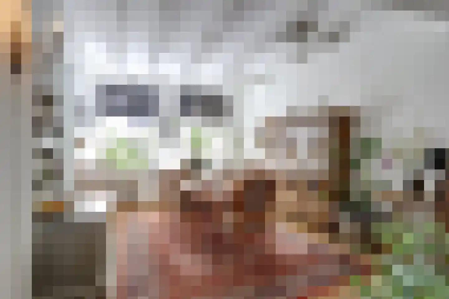 Reigerstraat 1 Middelburg thumbnail 10