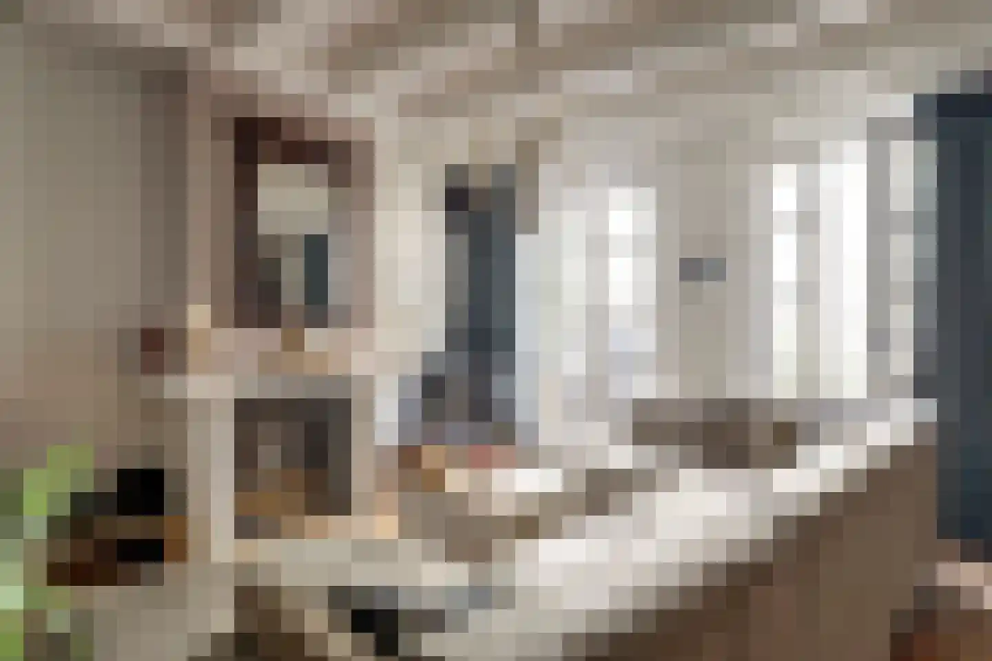 Reigerstraat 1 Middelburg thumbnail 15