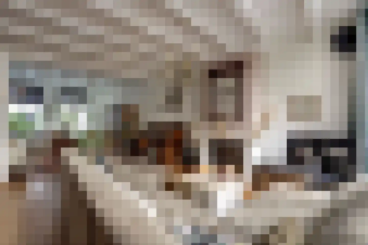Reigerstraat 1 Middelburg thumbnail 17